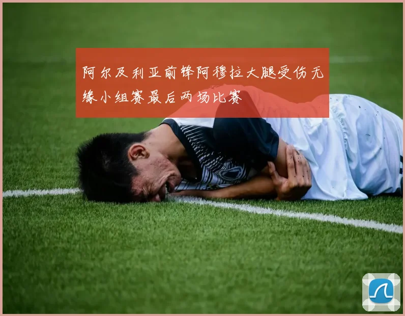 阿尔及利亚前锋阿穆拉大腿受伤无缘小组赛最后两场比赛