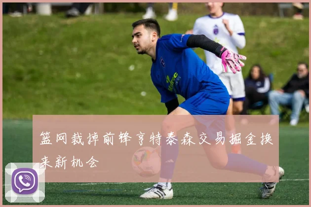 篮网裁掉前锋亨特泰森交易掘金换来新机会