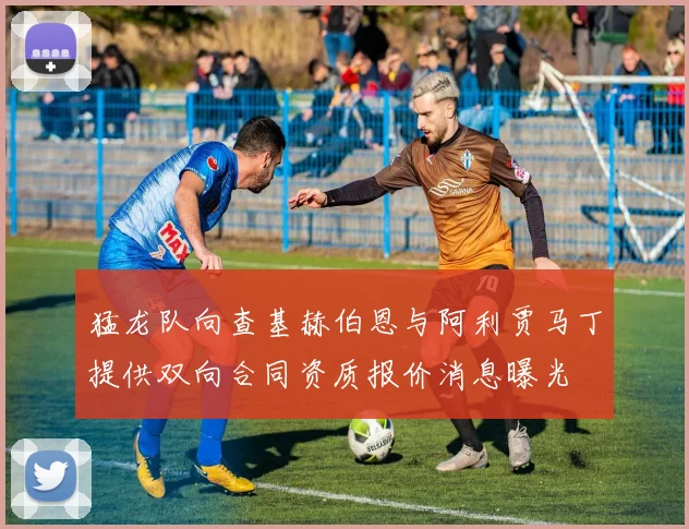 猛龙队向查基赫伯恩与阿利贾马丁提供双向合同资质报价消息曝光