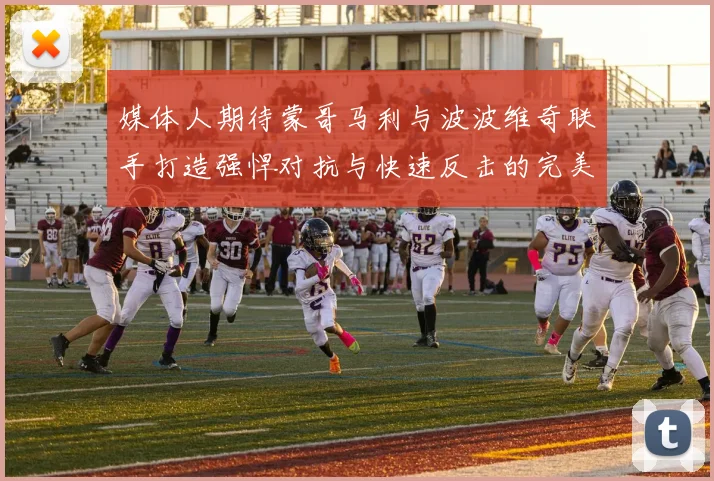 媒体人期待蒙哥马利与波波维奇联手打造强悍对抗与快速反击的完美结合
